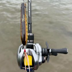 約1ヶ月ぶりにDETA!