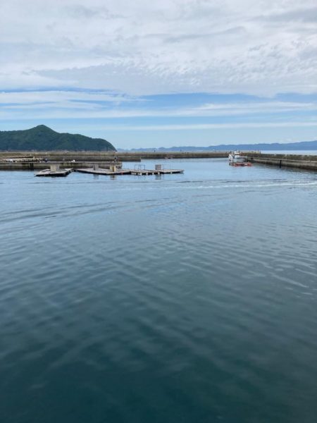 春はコウイカ続きの中、港で釣れた泣ける一杯