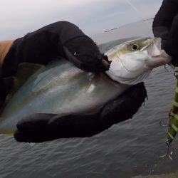 2024ライトゲーム第22戦