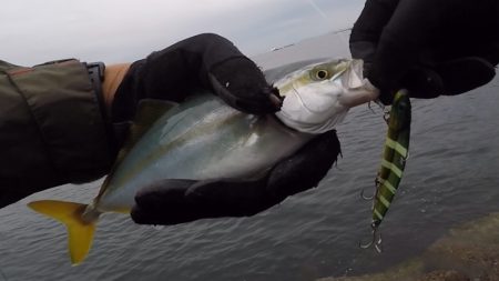 2024ライトゲーム第22戦