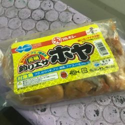 室津のフグ釣り