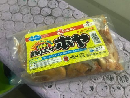 室津のフグ釣り