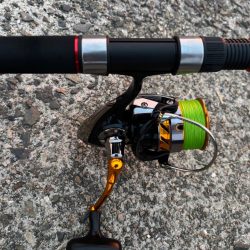 タコは気まぐれ 5