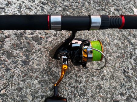 タコは気まぐれ 5