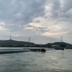 今年初シーバス