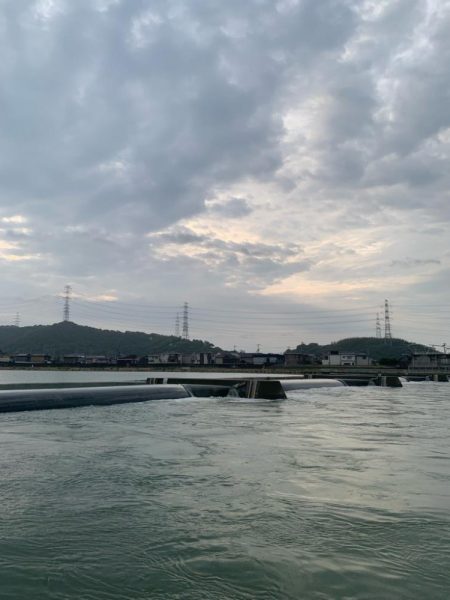 今年初シーバス