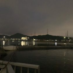 もう少しで大台