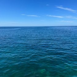 ちょこっとエギング