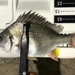 雨だけど釣る‼︎