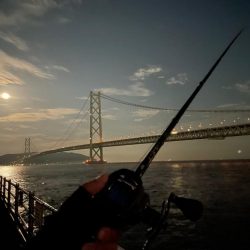 久々に釣れました