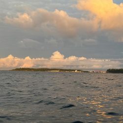 釣果イマイチだけど型良し混ざり