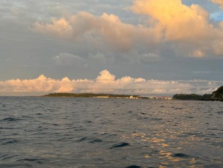 釣果イマイチだけど型良し混ざり