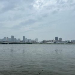 今日も懲りずに雨の中のチニング!