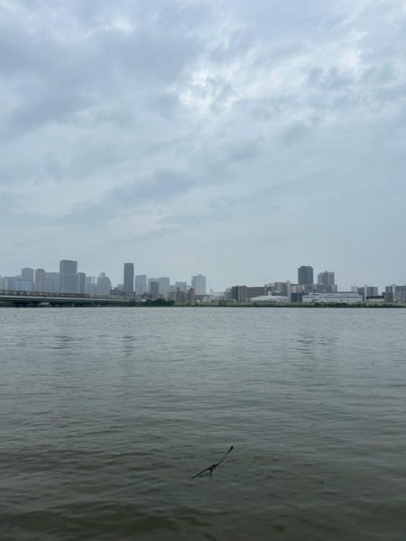 今日も懲りずに雨の中のチニング!