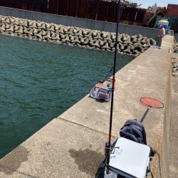 波止チヌ フカセ釣り