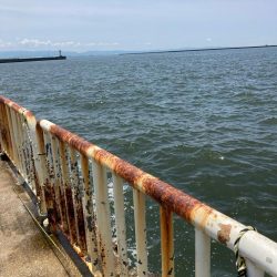 ⭐️擦られすぎ