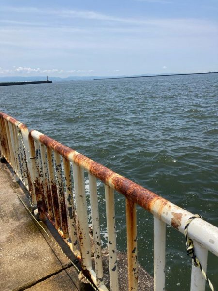 ⭐️擦られすぎ