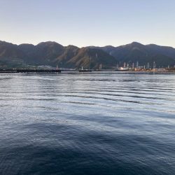 紀東・尾鷲～引本周辺へ大型キス狙い！