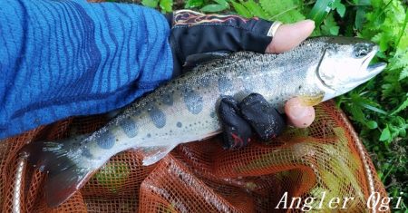 雨後の増水でビッグサイズ登場!