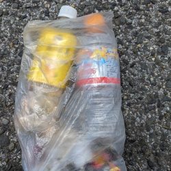 清掃活動：スロージギング船