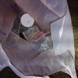 清掃活動：アジング41