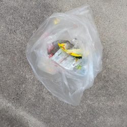 清掃活動：長女とタイラバ！