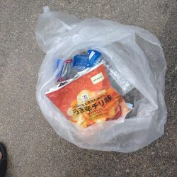 清掃活動：初めてのイカメタル！