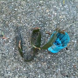 清掃活動：2024/06/28 南港ヘチ釣…