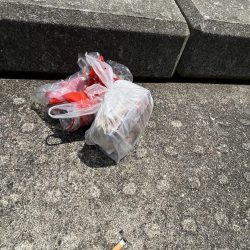 清掃活動：コウイか　再び