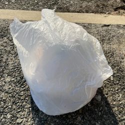 清掃活動：豆アジ到来