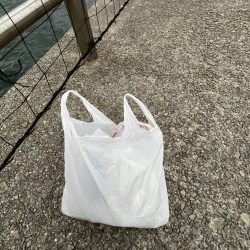 清掃活動：サビ鱚