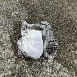 清掃活動：豆アジ2