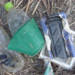 清掃活動：六月バス