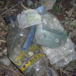 清掃活動：６月のなまず