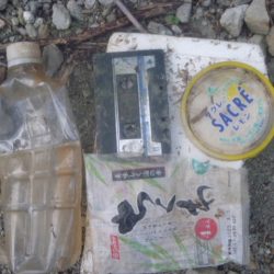 清掃活動：なまずとバス釣り