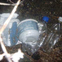 清掃活動：夕なまず