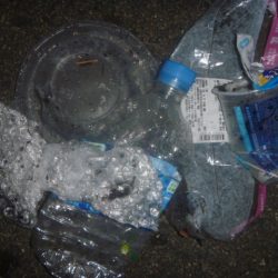 清掃活動：雨上がりに