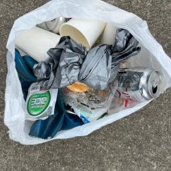 清掃活動：エビ撒きでチヌ絶好調！