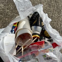 清掃活動：底物釣りでチヌやガシラ釣れました…