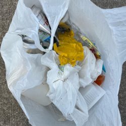 清掃活動：尺ガシラにチヌやセイゴ活性高いで…