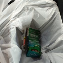 清掃活動：チニング