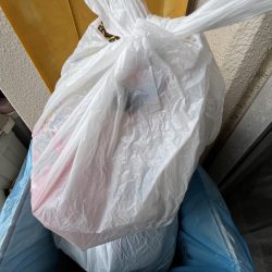 清掃活動：まだまだサビキには厳しい