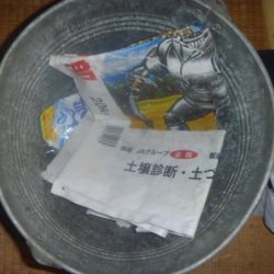 清掃活動：梅雨のなまず