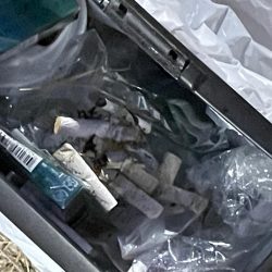 清掃活動：ジグ単de〜アジング♪考えすぎ？…