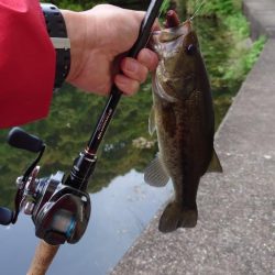 パンチショット