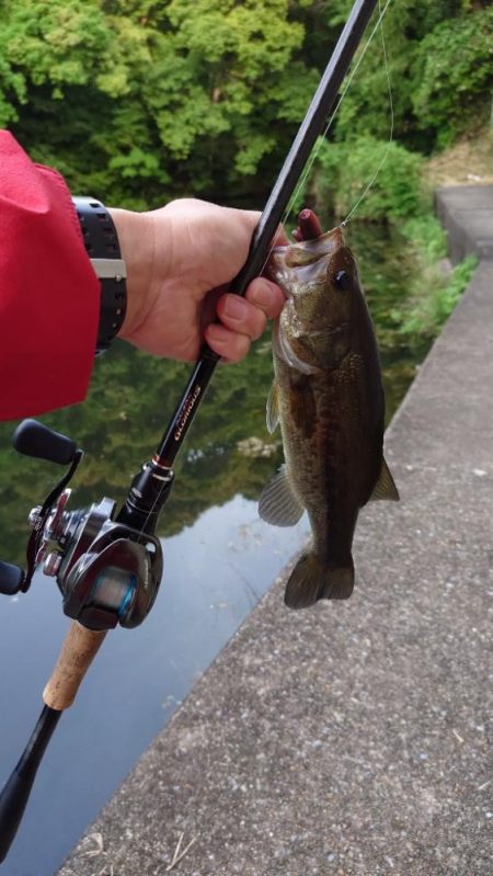 パンチショット