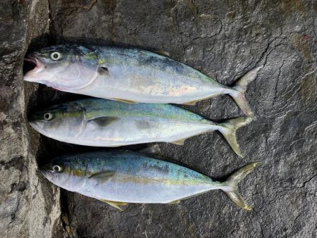 大きいサイズがヒットしない