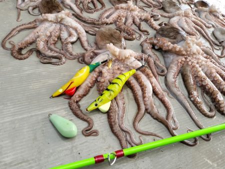 伊勢湾沖タコ釣り！