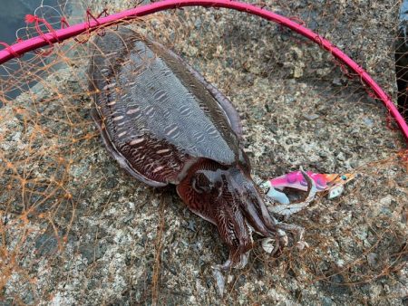 ２連続ボウズ後ポイント移動でHIT♪