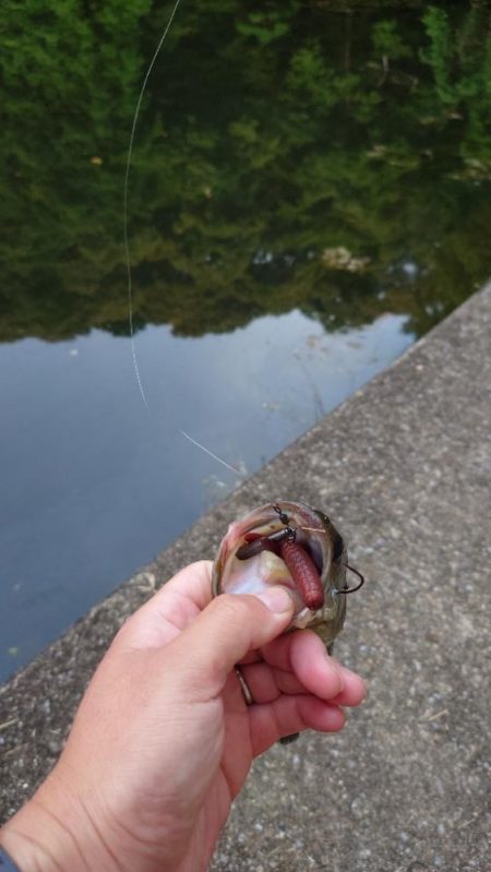 パンチショット